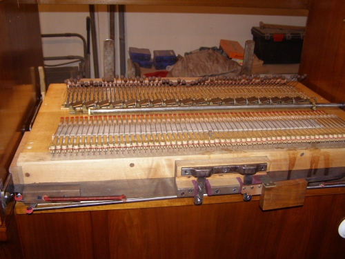 Harmonium Kotykiewicz